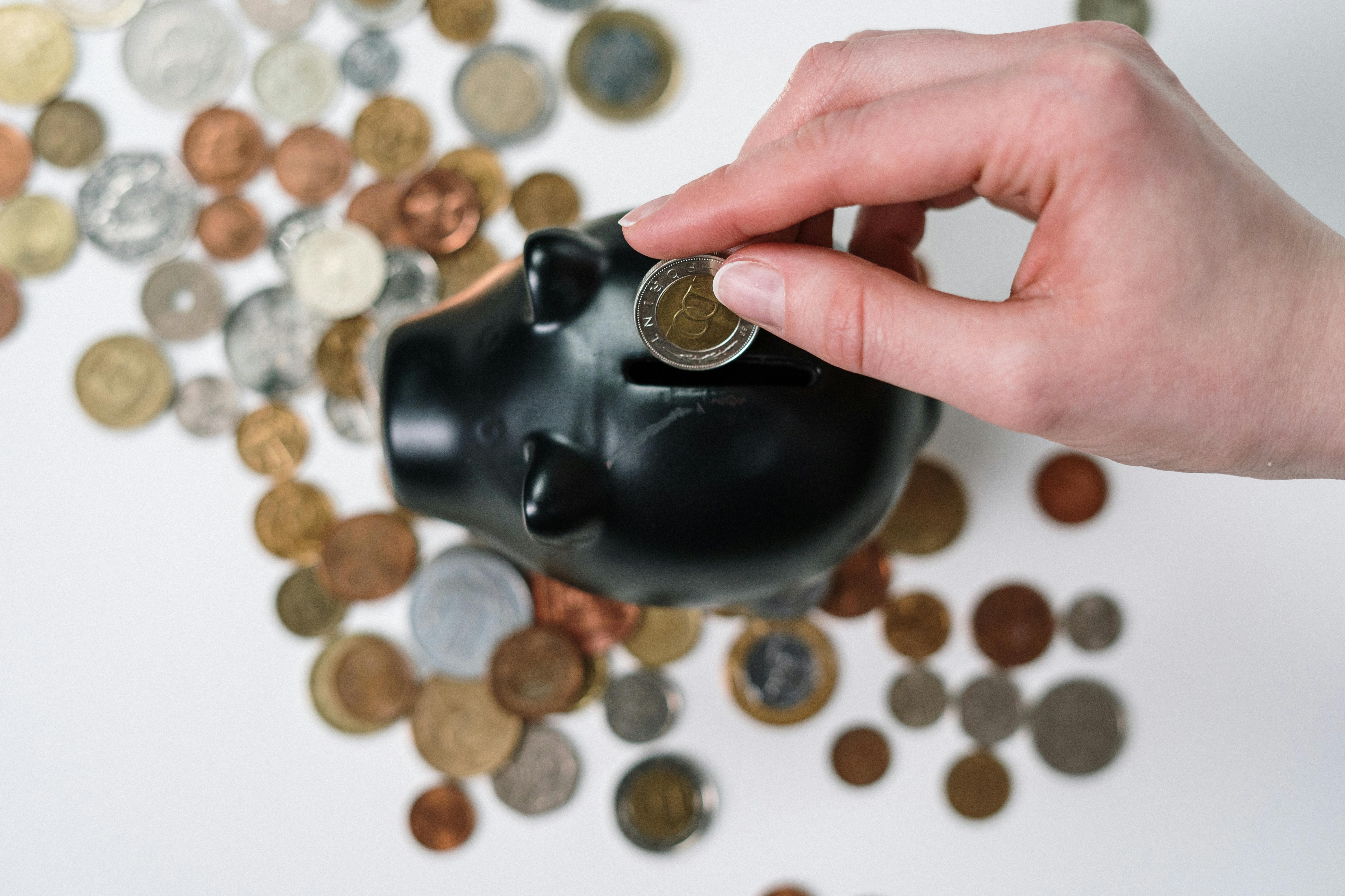 Conseil financier FidUpulex